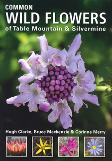 Common Wild Flowers of Table Mountain & Silvermine, by Hugh Clarke et al. Publisher: Randomhouse Struik, Struik Nature. 2nd edition. Cape Town, South Africa 2013, ISBN 9781775840398 / 978-1-77584-039-8