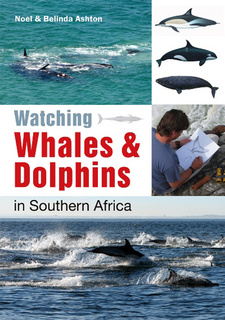 Watching Whales & Dolphins in Southern Africa, by Noel Ashton and Belinda Ashton. ISBN 9781770079571 / ISBN 978-1-77007-957-1