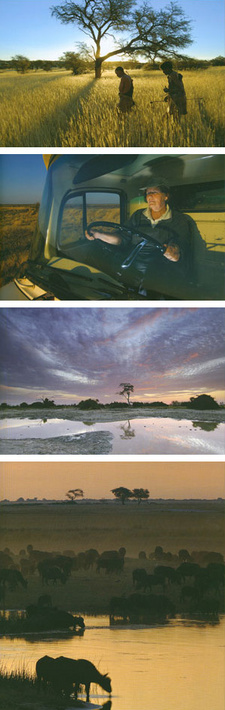 Kalahari. Wildes Afrika, von Judith Burri und Lorenz Andreas Fischer.