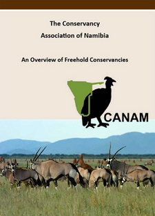 An Overview of Freehold Conservancies in Namibia, by Danica Shaw and Dr. Laurie Marker.