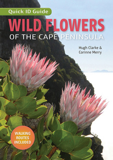 Quick ID Guide Wild Flowers of the Cape Peninsula, by Hugh Clarke and Corinne Merry. Penguin Random House South Africa, Struik Nature. Cape Town, South Africa 2019. ISBN 9781775846406 / ISBN 978-1-77-584640-6