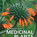 An Illustrated Guide to Medicinal Plants of East Africa, by Najma Dharani and Abiy Yenesew. Penguin Random House South Africa. Imprint: Struik Nature. Cape Town, South Africa 2022. ISBN 9781775847878 / ISBN 978-1-77-584787-8
