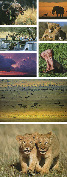 Dies sind Fotografien von Fritz Pölking in Masai Mara: Afrikas Paradies. Tecklenborg Verlag, 2005. ISBN 978-3-934427-52-5
