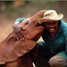 Einfach tierisch! Sheldrick Elephant Orphanage in Südafrika - arte tv.