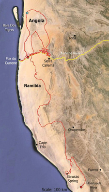 Route des Löwen seit dem 20.07.2013 von der Sarusas-Quelle in Namibia. Der Mähnenlöwe hat in 25 Tagen 658 km zurückgelegt. © Flip Stander
