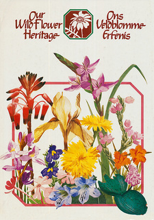 The collection book 'Our wild flower heritage' (H. B. Rycroft) introduces to the floral regions of South Africa.