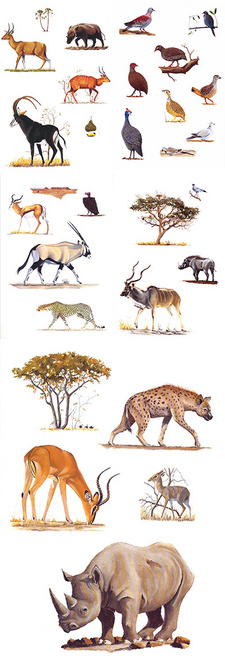 Dies ist eine Collage der Illustrationen von Helge Denker, die in dem Jagdbuch 'Jagen in Namibia' enthalten sind. Geschrieben von seinem Bruder Kai Uwe Denker, ist dies noch immer ein Standardwerk für die Jagd in Namibia.