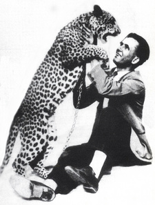 John Francois Burger (1882-1984) war ein auf Kaffernbüffel spezialisierter südafrikanischer Berufsjäger und Jagdbuchautor. Auf dem Foto (Mitte 1930er Jahre) mit seinem zahmen Leoparden "Spots".