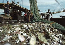 Namibia mit Festlegung der Fangquoten für Fisch säumig.