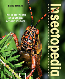 Insectopedia. The secret world of southern African insects, by Erik Holm. Struik Nature. Penguin Random House South Africa. Cape Town, South Africa 2017. ISBN 9781775841982 / ISBN 978-1-77584-198-2