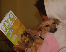 Petra Scheuermanns Tiermagazin PAKO informiert Namibias Kinder über Tiere und Tierschutz.