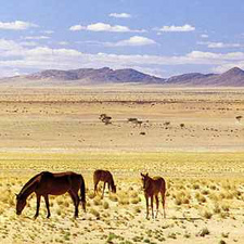 Namibia. Beautiful Land, by David Bristow