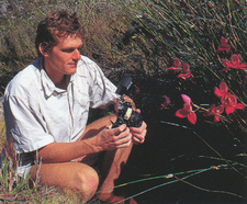 Prof. Dr. Steve Johnson ist ein südafrikanischer Ökologe.