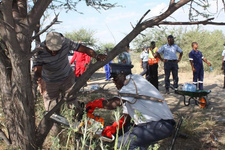 Operation Omake: Windhoeker Polizei lichtet Busch zur Verbrechensprävention. Foto: Nampa