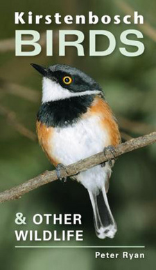 Kirstenbosch Birds and Other Wildlife, by Peter Ryan. ISBN 9781770077256 / ISBN 978-1-77007-725-6