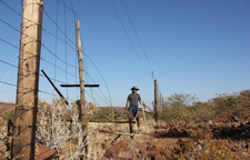 Namibias Veterinärzaun in desolatem Zustand. "Rote Linie", Abschnitt bei Palmwag.