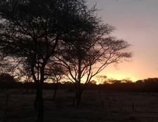 Namibia: Leichter Dezemberregen. Foto: Frank Steffen