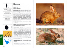 Handbuch der Säugetiere des Südlichen Afrika, von Burger Cillie. Beschreibung Rote Kuhantilope.