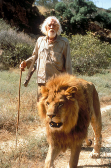 To Walk with Lions. Jagd in Afrika -  Spielfilm auf Kabel1.