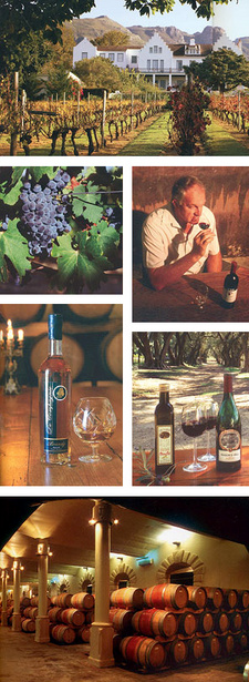 Images taken from the Hoberman photo book South Africa's Winelands of the Cape ( ISBN 9781919939049 / ISBN 978-1-919939-04-9)